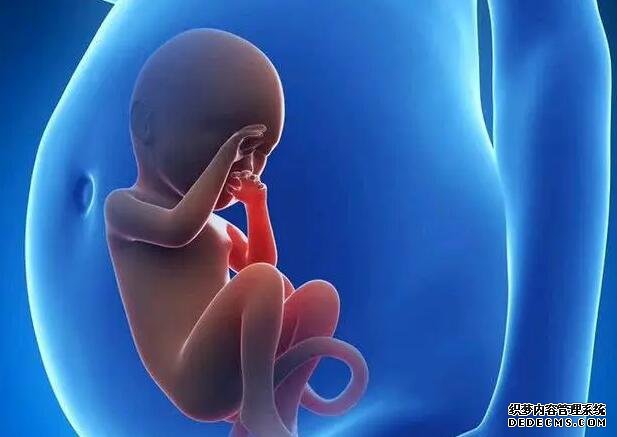 青岛借卵供卵试管价钱 青岛妇幼王静怡是不是行业专家？ ‘营口伊人26周四维看男女准么’