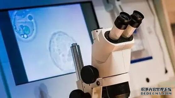 断奶后涨奶的解决办法一览，做好这四点可缓解痛苦