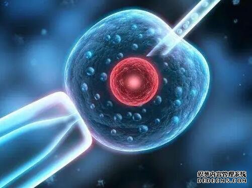 杭州代怀代生多少钱 杭州生育津贴网上申报流程有什么？ ‘生男孩彩超图’