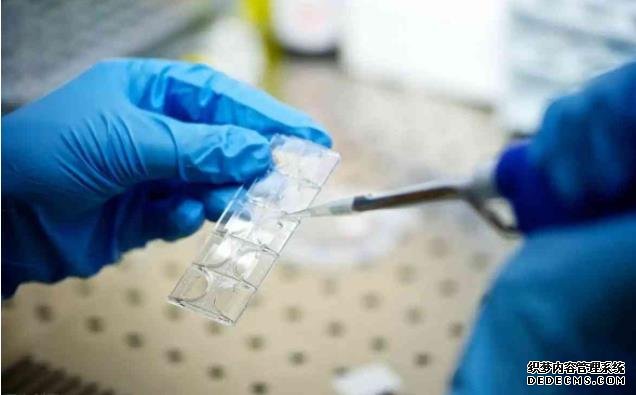 盘点女人每天泡脚的6个好处，早知早受益