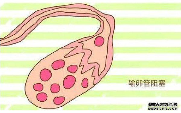 促排5天促黄体生成素正常值是多少,促排第五天卵泡一般长多大