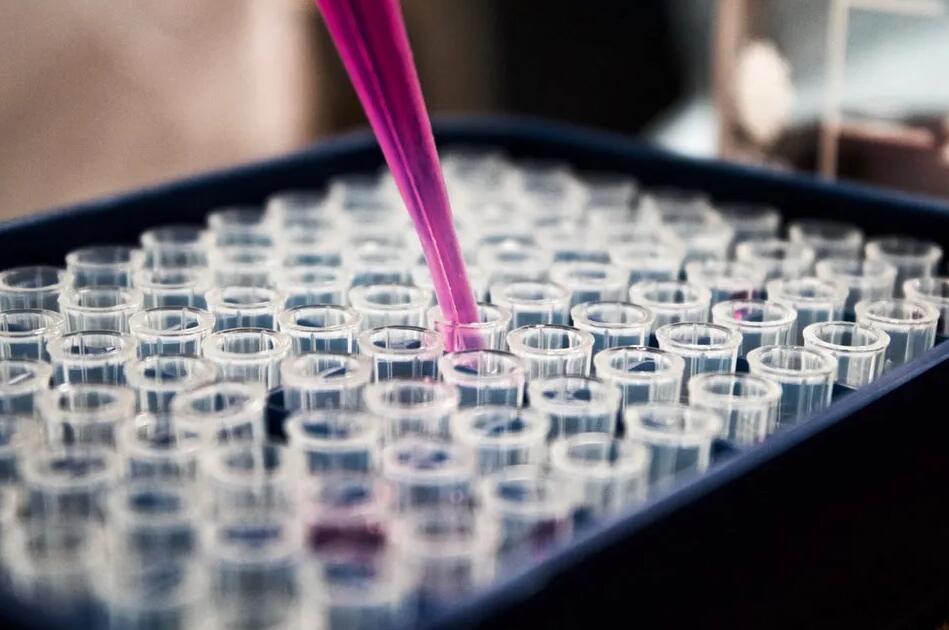 山东试管补贴 山东省妇幼保健院试管婴儿价格表 ‘孕10周b超可以看男女吗’