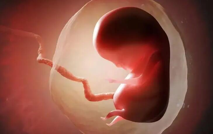 鞍山试管供卵 马鞍山妇幼保健院试管医生推荐： ‘b超单子怎么能看出是男孩女孩图片’