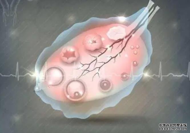 山东山大生殖医院是公立还是私立 详细山东试管医院成功率费率 ‘怀男宝宝早期有什么特征最准’