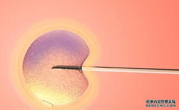 广州第三代试管医院 广州供卵试管试管婴儿医院排名，附供卵生男孩费用一览！ ‘彩超看孩子男女’