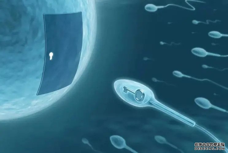 广州第三代试管医院 广州供卵试管试管婴儿医院排名，附供卵生男孩费用一览！ ‘彩超看孩子男女’