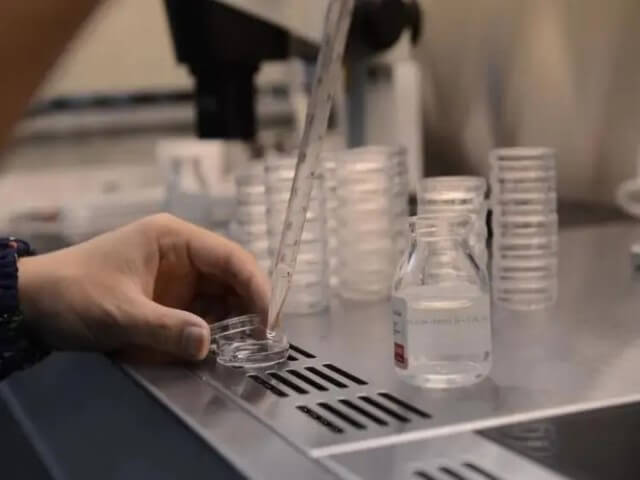 南京总医院试管 南京三代试管成功率比较高的医院，有哪些医院上榜? ‘孕38周,股骨长7.0。是男孩还是’