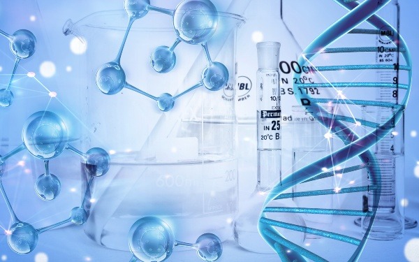 洛阳供卵试管 洛阳做试管婴儿医院排名可以参考吗？有什么价值？ ‘彩超看女孩的照片’