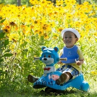 娄底供卵试管 娄底市中心医院简介 ‘男胎特征’