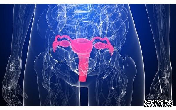 ?？谥刑跫??？谑怨芤皆杭际踅樯芮宓ィ?‘早期验血是男宝，16周B超又是男宝。24周三维说是女宝。到底是男宝还是女宝’