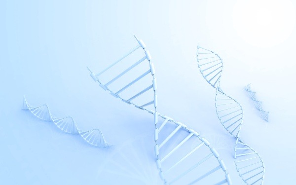 东莞三代试管 东莞第三代试管费用多少? ‘怎样看b超双顶径看男女’