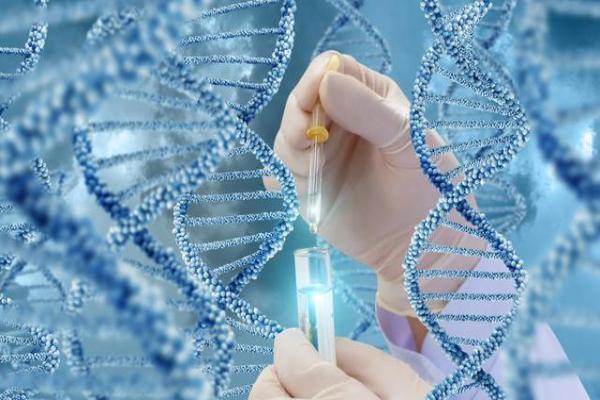 福州代孕费用一次 福州第三代试管婴儿技术适应症有哪些? ‘什么样的孕囊数值是男孩’