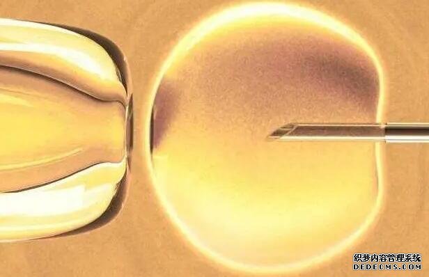 宁波妇儿医院试管费用 宁波市一医院试管婴儿医生评价 ‘四维两条白线加凹槽女孩吗’