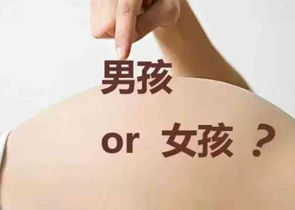 珠海三代试管 珠海市妇幼保健院生殖医学中心 ‘四维彩超男宝宝的图像’