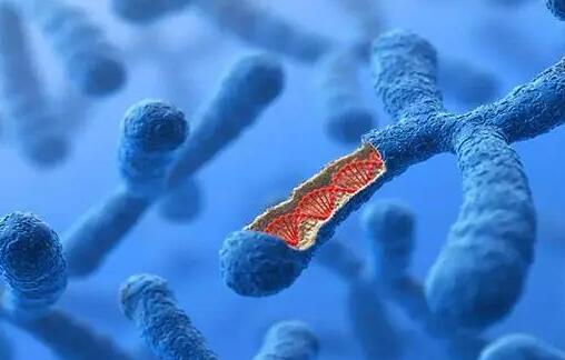 威海供卵试管 威海市妇幼保健院试管费用是多少 ‘怎么根据四维分辨怀的男孩女孩’