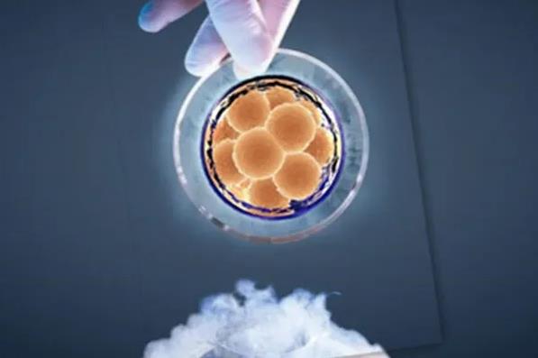 唐都医院试管婴儿费用大约多少？成功率咋样？