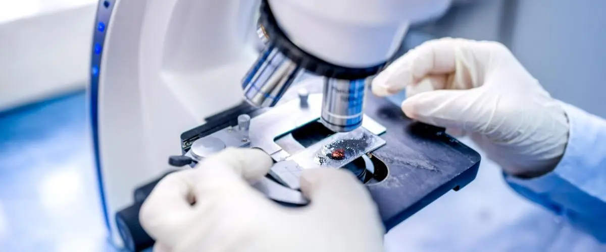 石家庄试管供卵 石家庄做三代试管婴儿费用要多少钱? ‘营口伊人26周四维看男女准么’