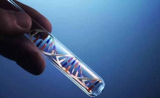 泰国试管婴儿的海外医疗主要过程有哪些？