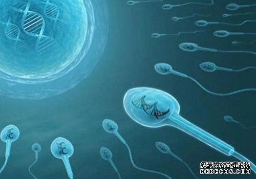 山东大学附属医院生殖医院全国排名第几 022年山东能包生男孩的试管医院汇总，有2家医院拥有三代技术 ‘怎么从双顶径参数看男女’