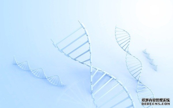 厦门靠谱借腹生子中介 厦门第三代试管婴儿医院费用明细表 ‘怀女儿跟怀儿子b超区别’