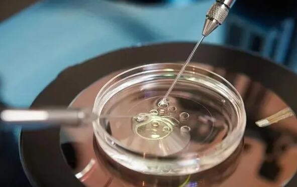 合肥安医附院试管婴儿技术好么？卵子质量差做试管会
