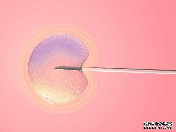 月子期间要饮食清淡，科学坚持才有助于身体恢复