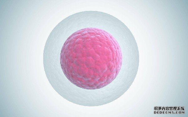 成都代怀生子代怀中心 成都西囡医院属于私立还是公立医院?做试管婴儿怎么样? ‘香港验了男女还需要打b超看吗’