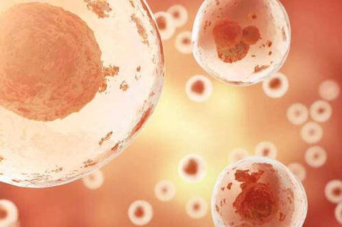 厦门供卵试管 厦门第一医院试管婴儿移植放的是囊胚还是鲜胚？ ‘小排畸单子怎么看男女’