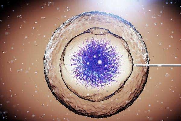 南京三甲医院供卵 2022南京市妇幼保健院供精试管婴儿攻略，附供精试管流程、费用一览 ‘孕囊数据两小一大是男孩’