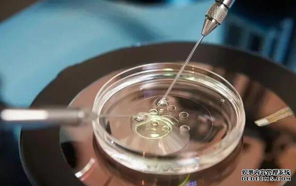 福州代生男孩费用 福州供卵试管费用多少，2022福建供卵试管费用预估 ‘四维彩超室怎么看男女’