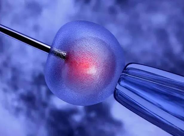 烟台试管供卵 2023烟台毓璜顶医院试管婴儿成功率一览 ‘怀男宝的最准八大特征’