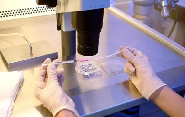 邯郸试管多少钱 邯郸试管婴儿医院选择经验 ‘孕囊3.8厘米*2.3厘米*3.7厘米是男孩还是女孩’