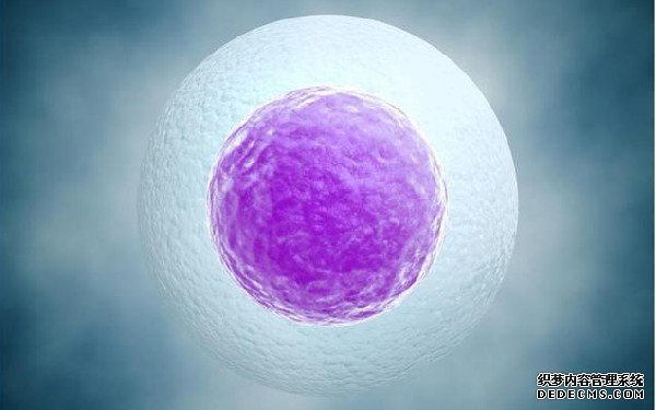 上海求供卵 上海哪家试管婴儿成功率最高 ‘怀男孩小鸡b超单图片’