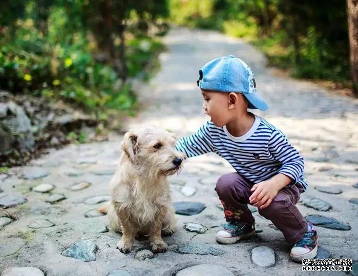 更年期的女性吃什么补雌激素？这七类食物要多吃