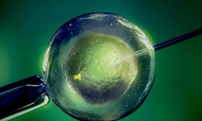 西宁试管供卵 2023西宁私立供卵机构排名全新发布 ‘怀男宝宝早期有什么特征最准’