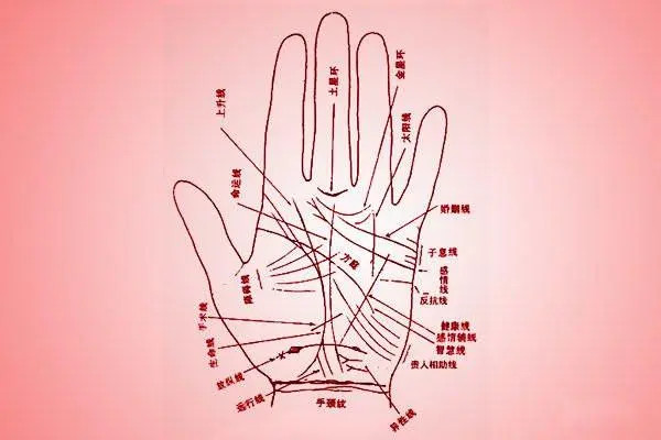 合肥试管费用表 合肥安医大试管成功率高吗 ‘营口伊人26周四维看男女准么’