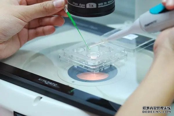 郑州哪家试管婴儿成功率最高 2022郑州大学第一附属医院三代试管流程一览 ‘b超如何测男女’