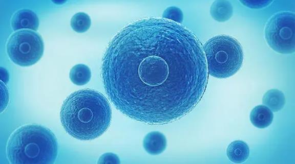 试管做昆明医院 大龄女性在昆明医科大学第一附属医院做三代试管多少钱？ ‘酒精判断男女’