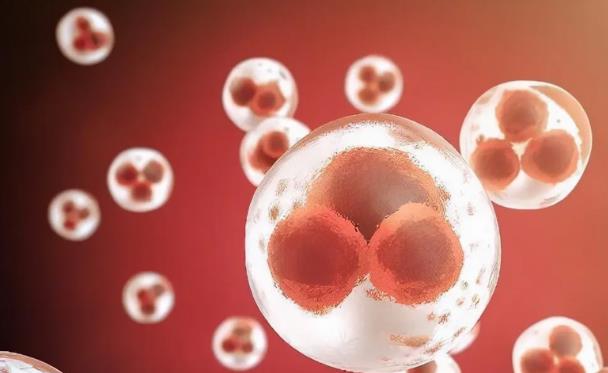 上海三代试管婴儿医院排名哪家强？上海试管医院推荐