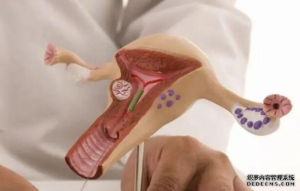 郑州最专业的代怀 2022郑州大学第一附属医院申请供卵的流程有哪些？附供卵试管流程一览 ‘孕男宝的晚期特征’