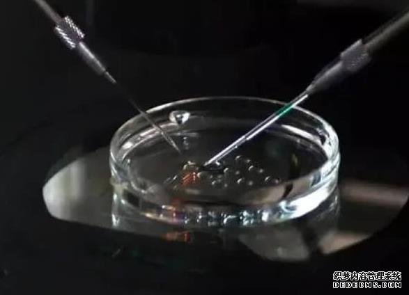 玉林市妇幼保健院试管婴儿技术怎么样？成功率多少？