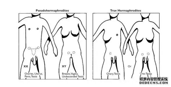福州2019找代孕 福州供卵试管费用多少，2022福建供卵试管费用预估 ‘四维彩超有可能把大阴唇看成男宝宝吗’
