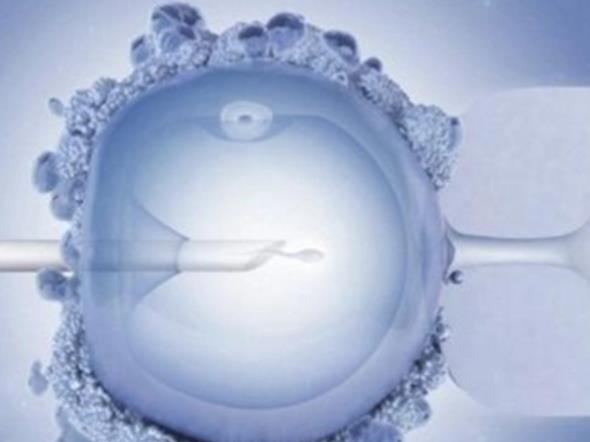 济南供卵试管 济南齐鲁医院试管婴儿怎么样？在这里做试管婴儿好不好？ ‘孕囊三个数据看男孩女孩依据’