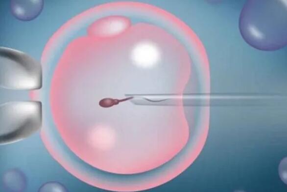 哈尔滨试管婴儿医院排行榜哪家好？