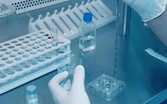 绍兴试管供卵 在绍兴市妇幼保健院做供卵试管婴儿费用大约多少？ ‘孕囊14×24×9是男孩女孩’