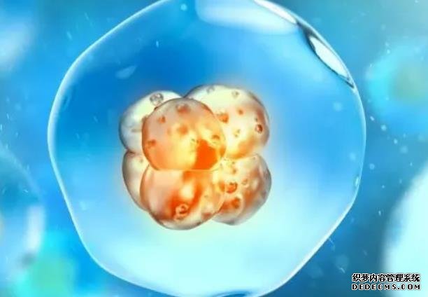 2023焦作捐卵试管医院排名公布！附各大医院卵源等待时间