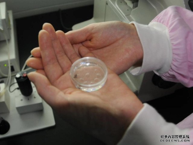 男人调理精子生男孩百分之百合理！3大窍门帮助你美梦成真