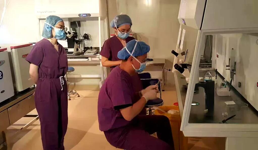 导致试管婴儿胚胎不着床的原因有哪些？