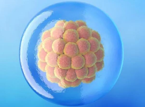 深圳试管可以做双胞胎吗 试管婴儿费用高不高啊？检查是少精