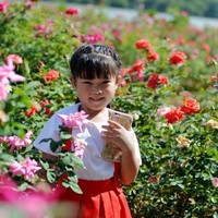 郴州市第一人民医院试管婴儿多少钱？价格受哪些因素